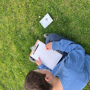 Drawing trees in nature