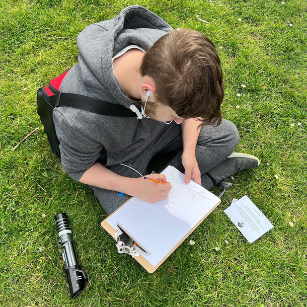 Drawing trees in nature