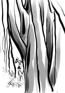 Procreate drawing woodland
