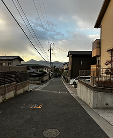 IMG_3733 2.HEIC