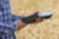 _L1A3166.jpg