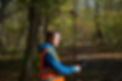 GG04plus_Wald.jpg