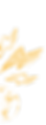 Untitled design.png