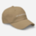 Thumbnail: Hat stating "LET TRANS KIDS PLAY."
