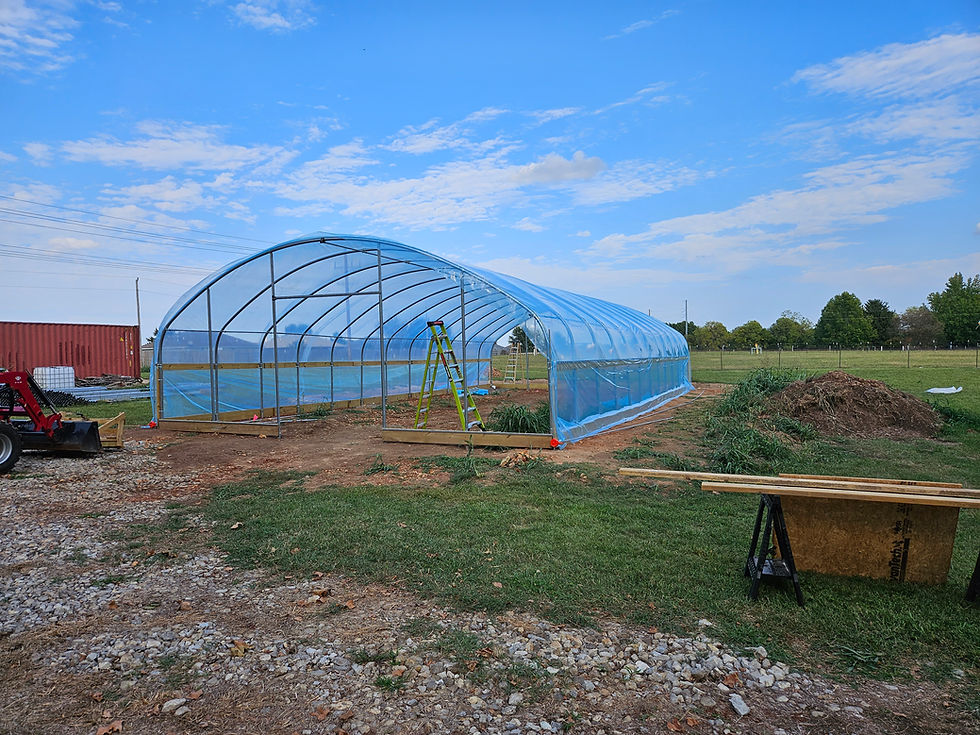 Thumbnail: 30x60  Greenhouse 