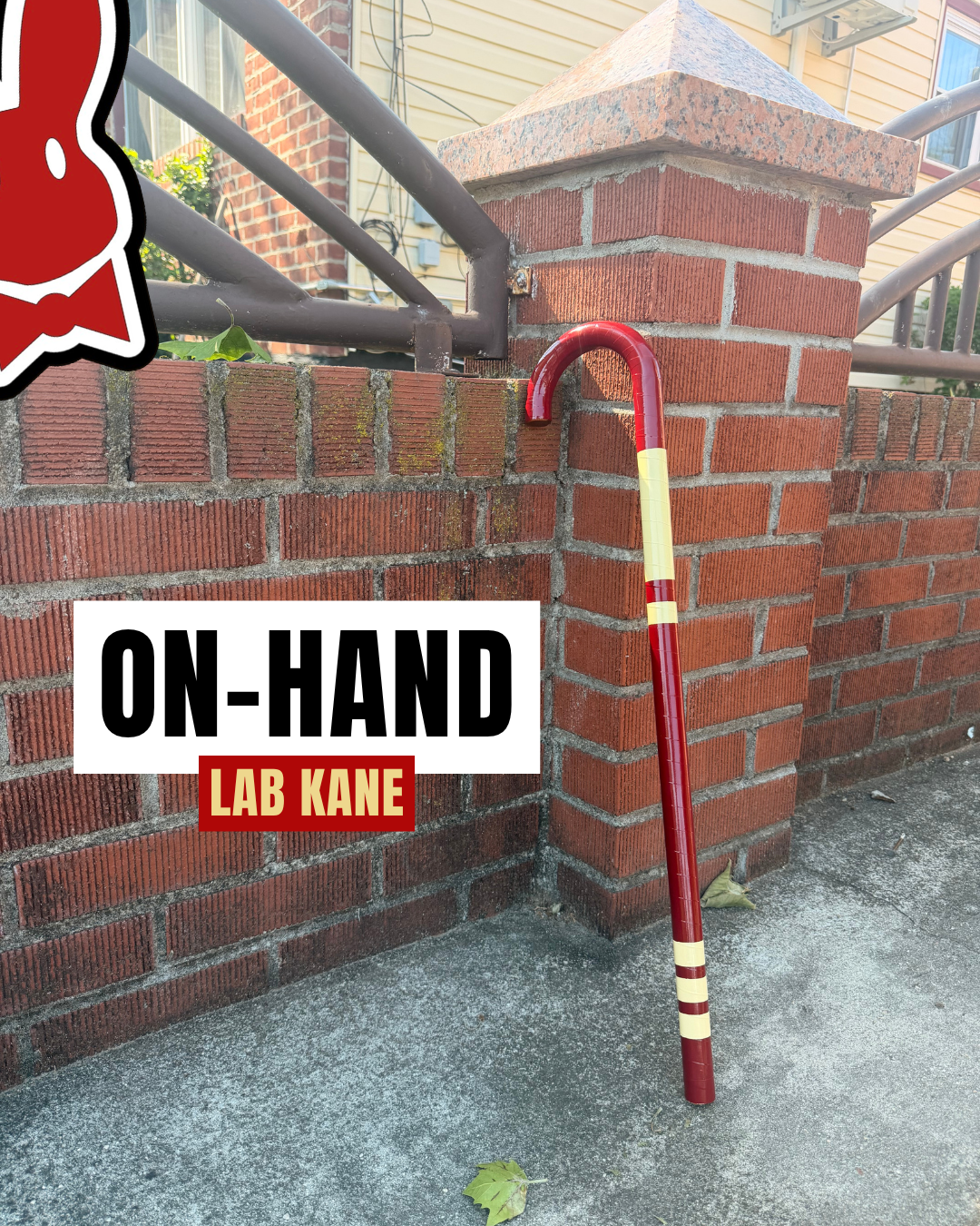On-Hand Lab Kane