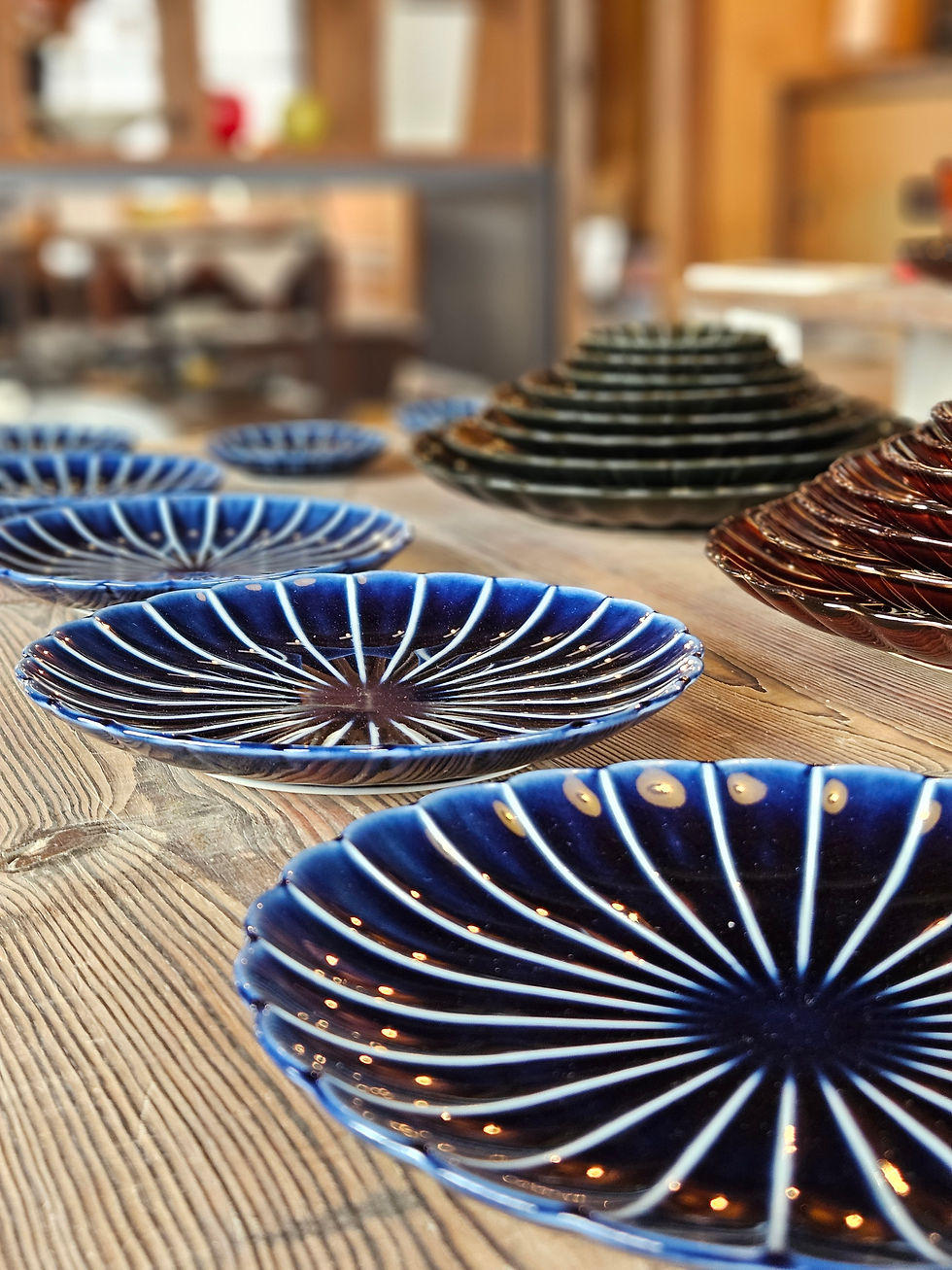 카네코 코효 (カネコ小兵)