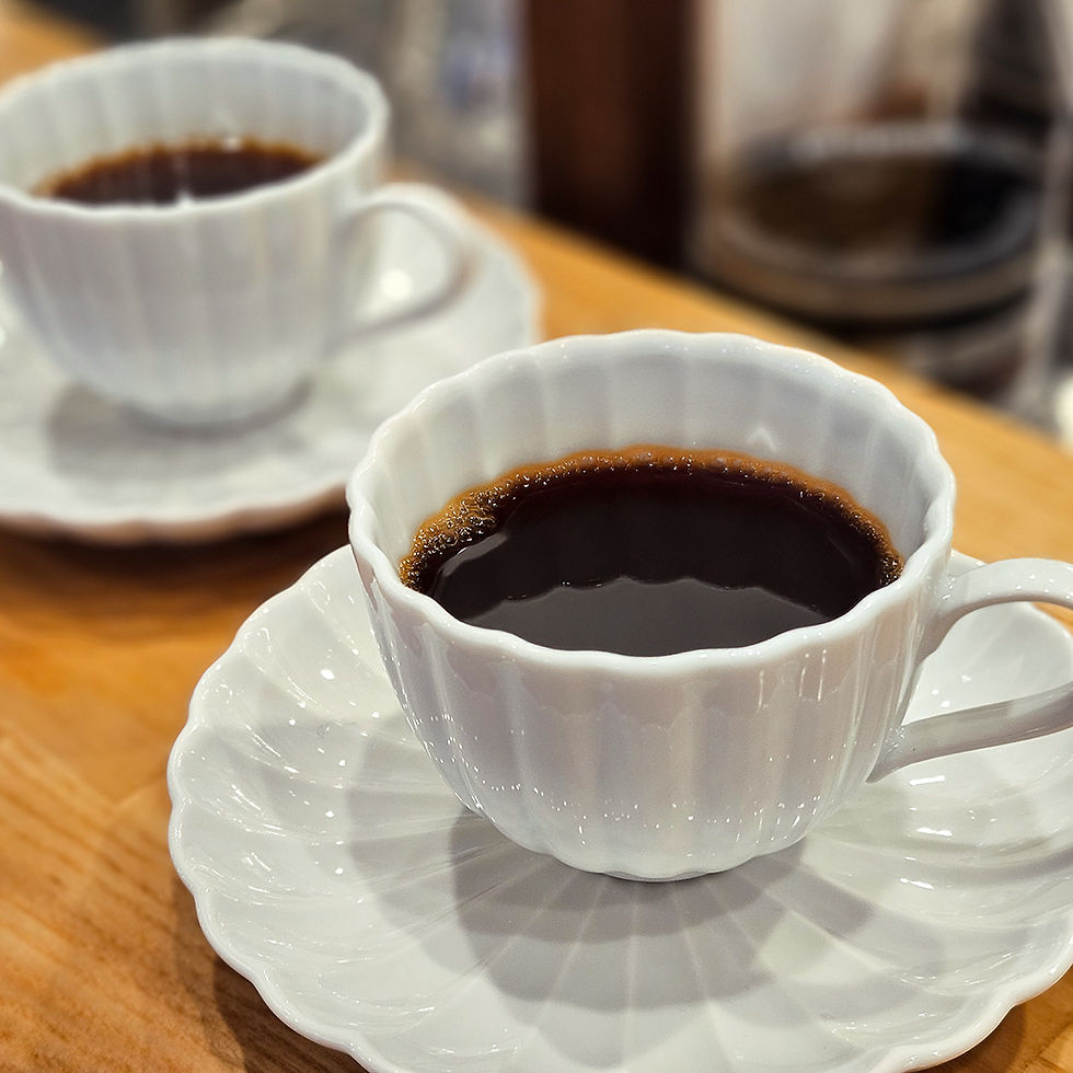 카네코 코효 (カネコ小兵)