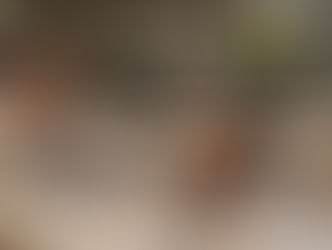 Does paper control processes… or does it only make us believe it does?