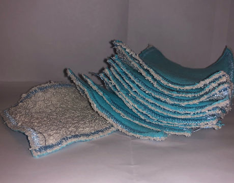 Blue makeup pads.jpg