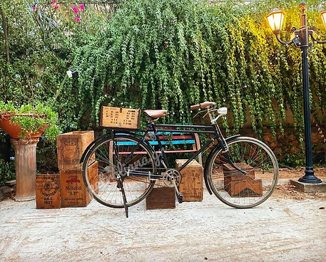 Διπλοσκέλετο ποδήλατο