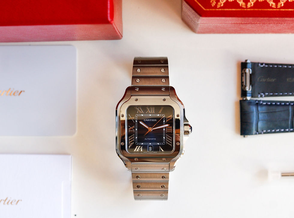 Miniatura: Cartier Santos Large Blue