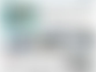 播磨灘を駆け巡る大物