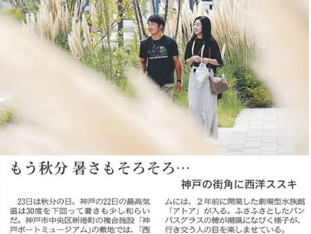 もう秋分 暑さもそろそろ・・・