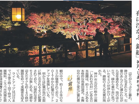 夜に浮かぶ「錦絵」