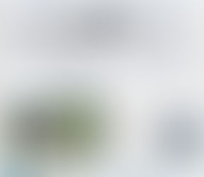 厳冬の水田 命のゆりかご