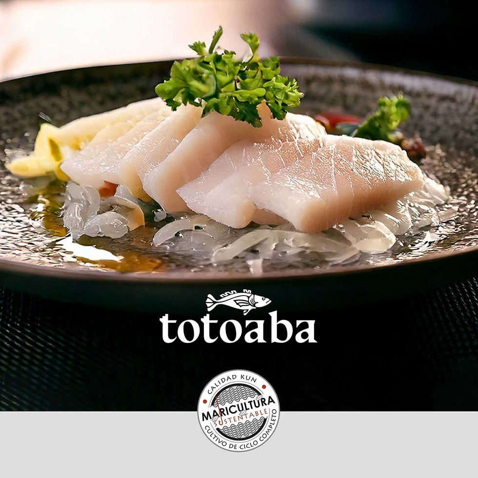 Miniatura: Totoaba