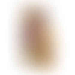 Poli Barrique Solera di Famiglia, grapa italiana