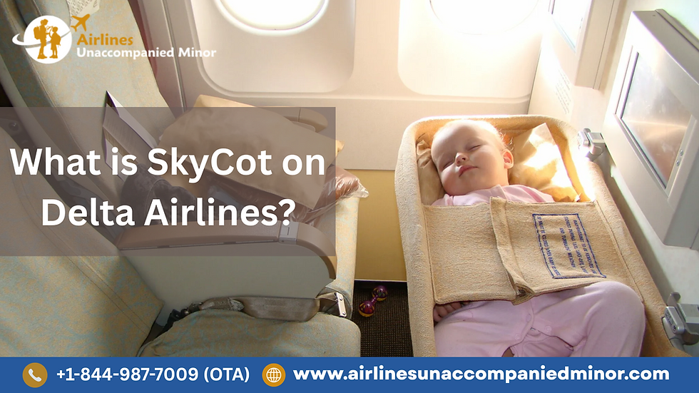 What is SkyCot on Delta Airlines?