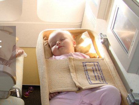 What is the Delta Bassinet Seat?