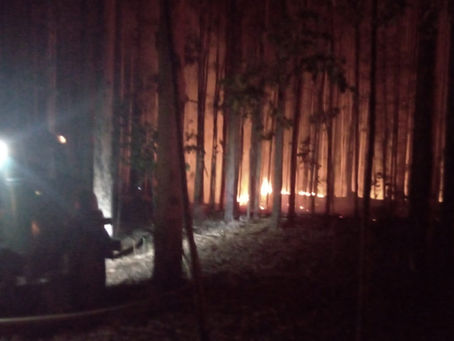 Incêndio criminoso no bairro Por do Sol destrói três hectares de vegetação