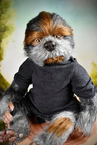 121823344_698353564113292_88560486439409