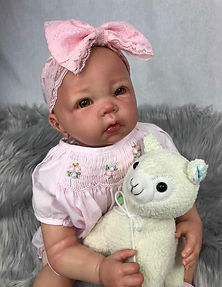 56174989_2268855056775671_23289061546645