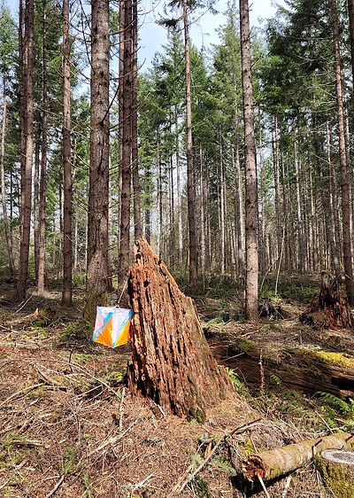 LLSSSP_Stump_w_control_portrait.jpg