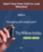 Willow Weight Loss Graphic