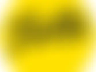 Pella Windows - Consumer Review of Process and Price