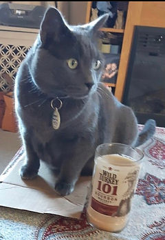 image2.jpeg