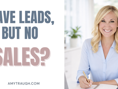have leads but no sales with image of the metrics maven