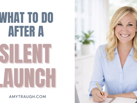 what to do after a silent launch with an image of the metrics maven