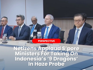 Netizens Applaud S'pore Ministers For Taking On Indonesia's '9 Dragons' In Haze Probe
