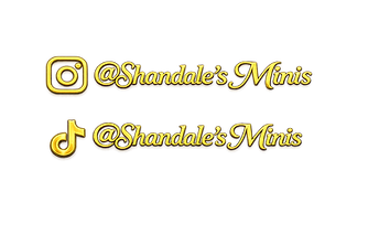 Socials, Instagram Handle, TikTok