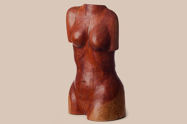 טורסו חדש.jpg