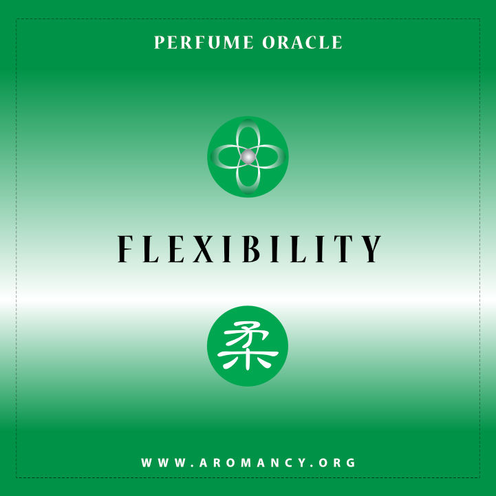 Miniaturbild: 柔・Flexibility