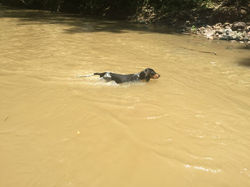 11218865_1181887551824793_4390510945020137766_n