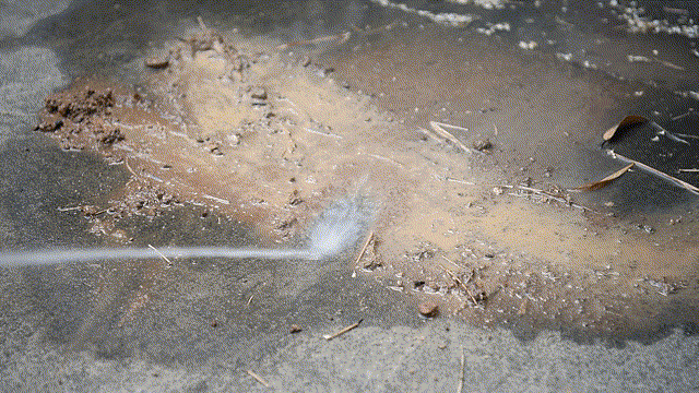 detail_38863_16614212753274.gif