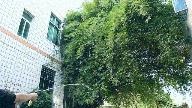 detail_38863_16614212341262.gif