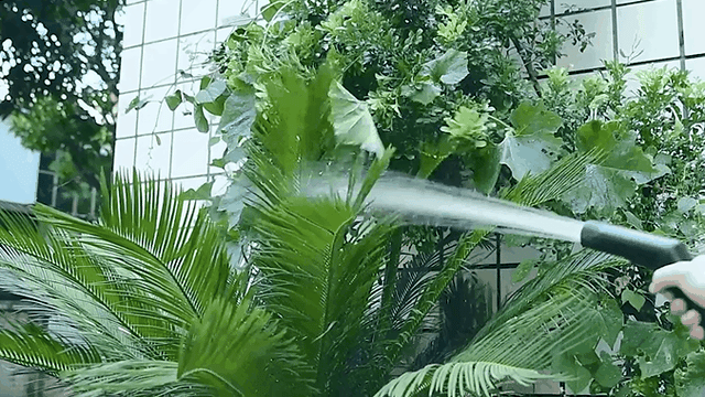 detail_38863_16612381130361.gif