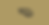 Black Simple Beautiful Nature Email Header-2.png