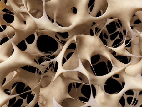 “Diggin’ on Bones”