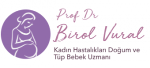 Prof. Dr. Birol Vural