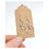 Thumbnail: Scallop Shell Earrings