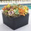 Thumbnail: Colorful Live Succulent Arrangement in Contemporary Black Ceramic Box