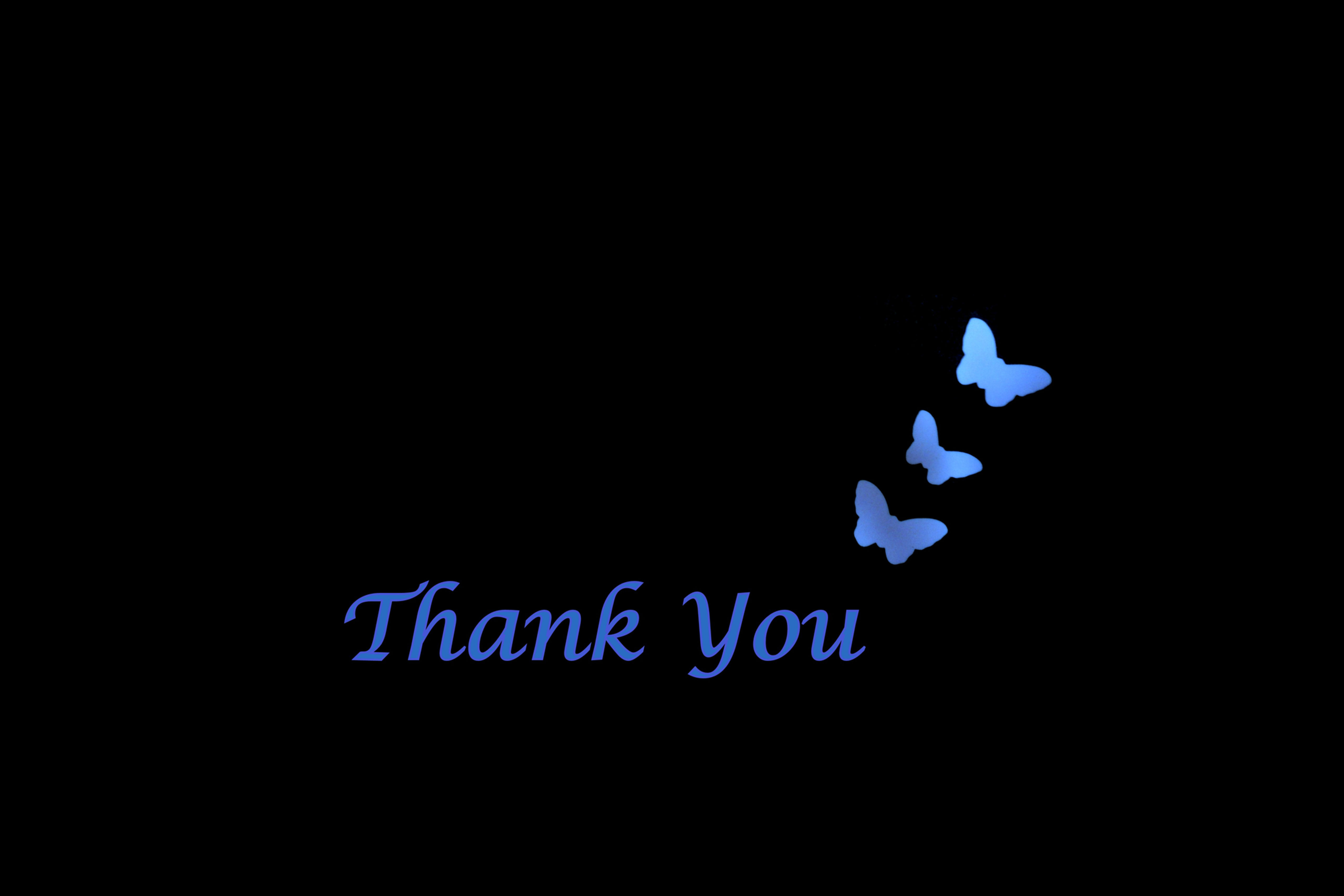 Thank you: Note Cards