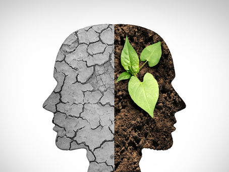 Advertisers Need the Full Picture: Why Environmental Change in Media requires Dual Disclosure.
