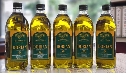 69851524_2482171008680472_48123544925886