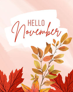 November Sales 2025 (1)